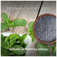 Peppermint & Poppyseed Bar 50853B