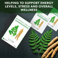 Moringa Leaf & Ashwagandha Tea 50932B