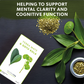 Yerba Mate & Gotu Kola Tea 50933B