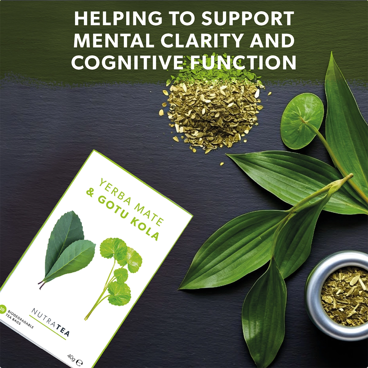Yerba Mate & Gotu Kola Tea 50933B