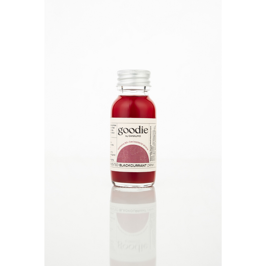 Fermented Blackcurrant Drink Small 51034B