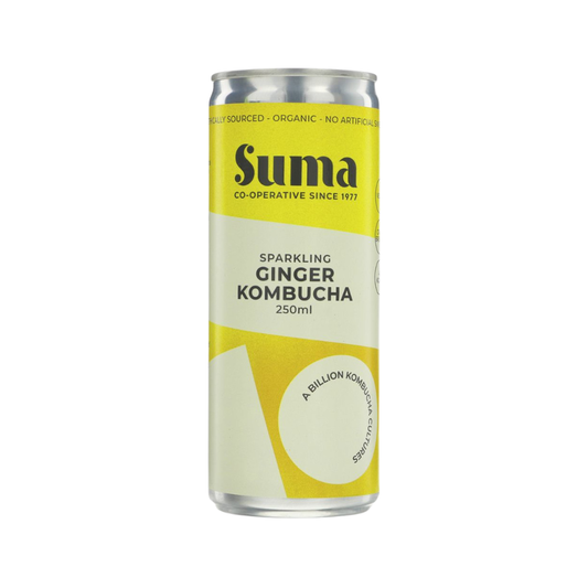 Ginger Kombucha (Org) DRS 51289A