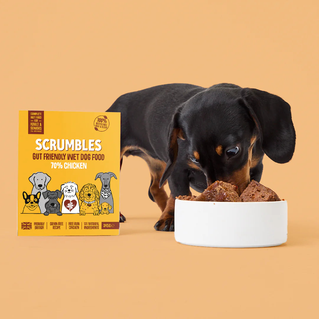 Chicken Complete Wet Dog Food 51300B