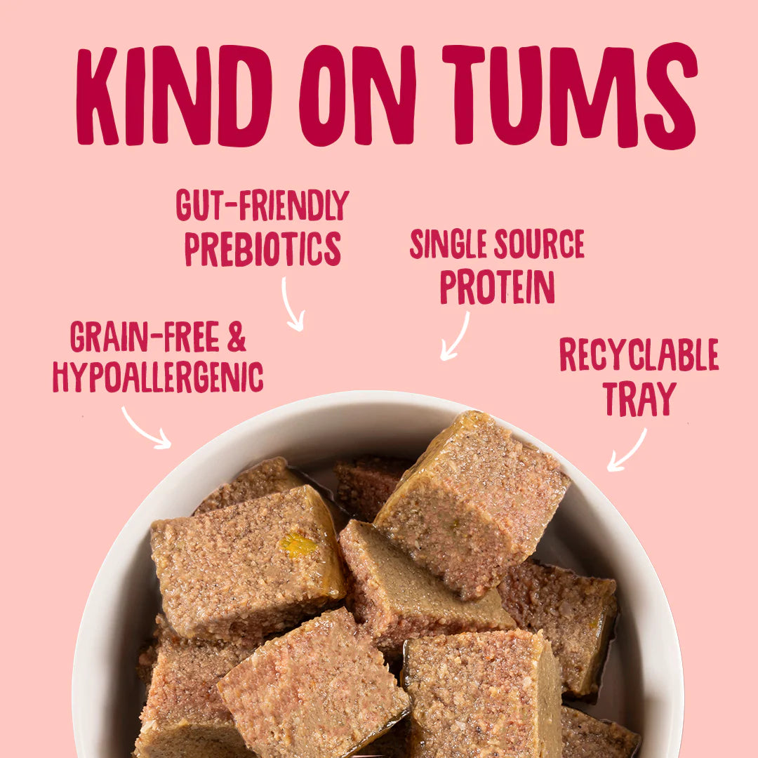 Salmon Complete Wet Dog Food 51302B