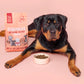 Salmon Dry Dog Food 51303B