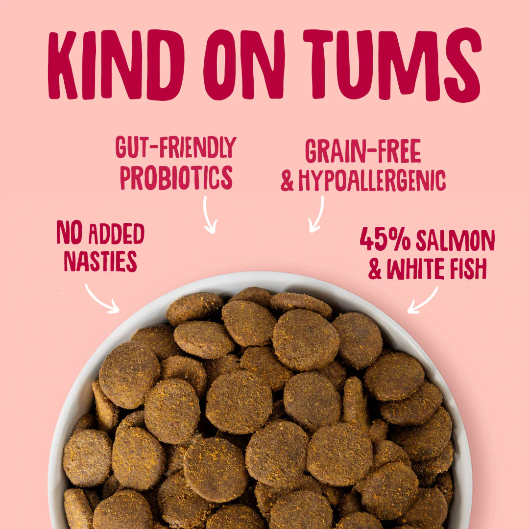 Salmon Dry Dog Food 51303B