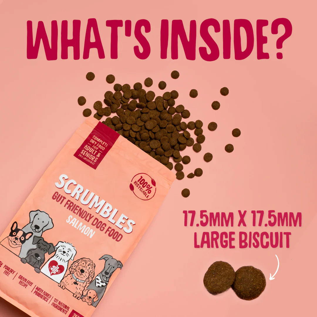 Salmon Dry Dog Food 51303B