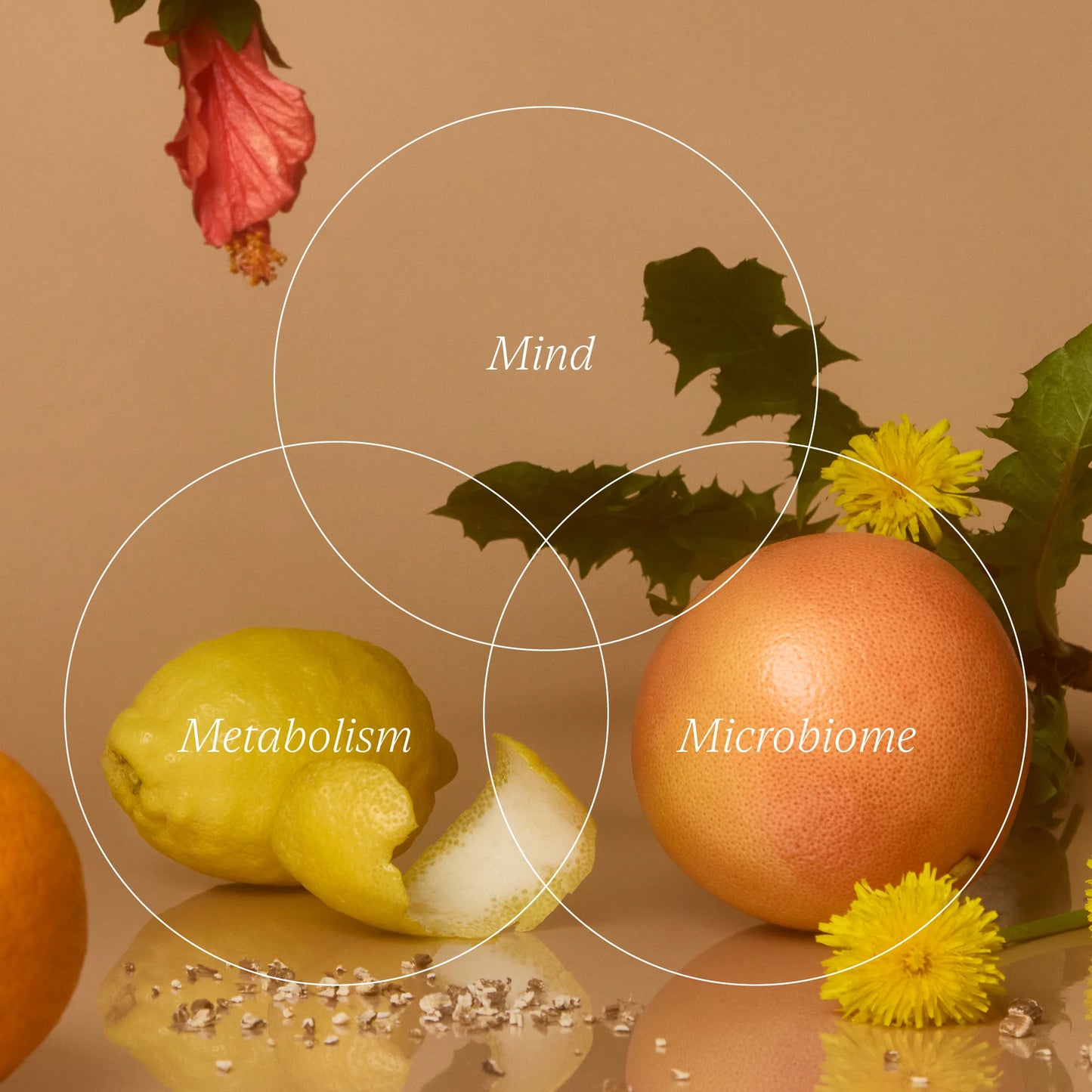 Weight Management Support 51324B