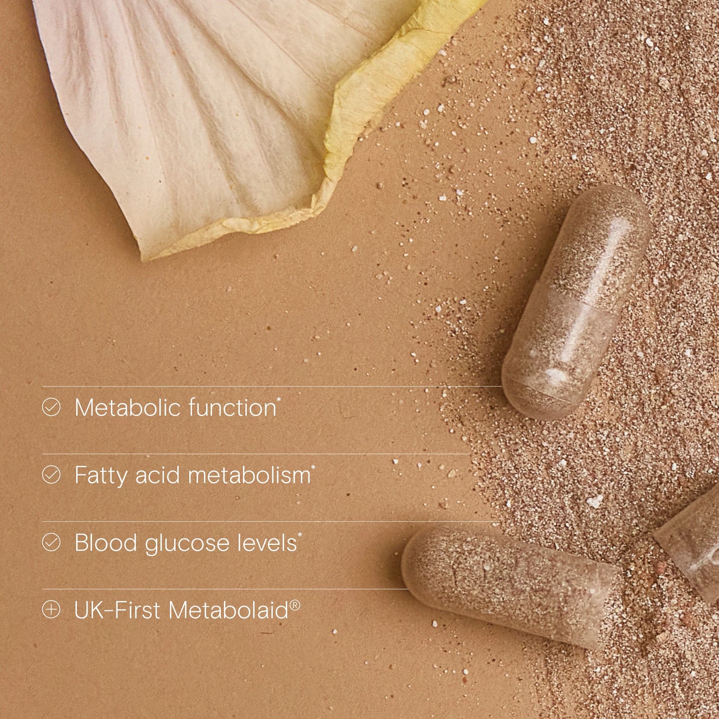 Weight Management Support 51324B