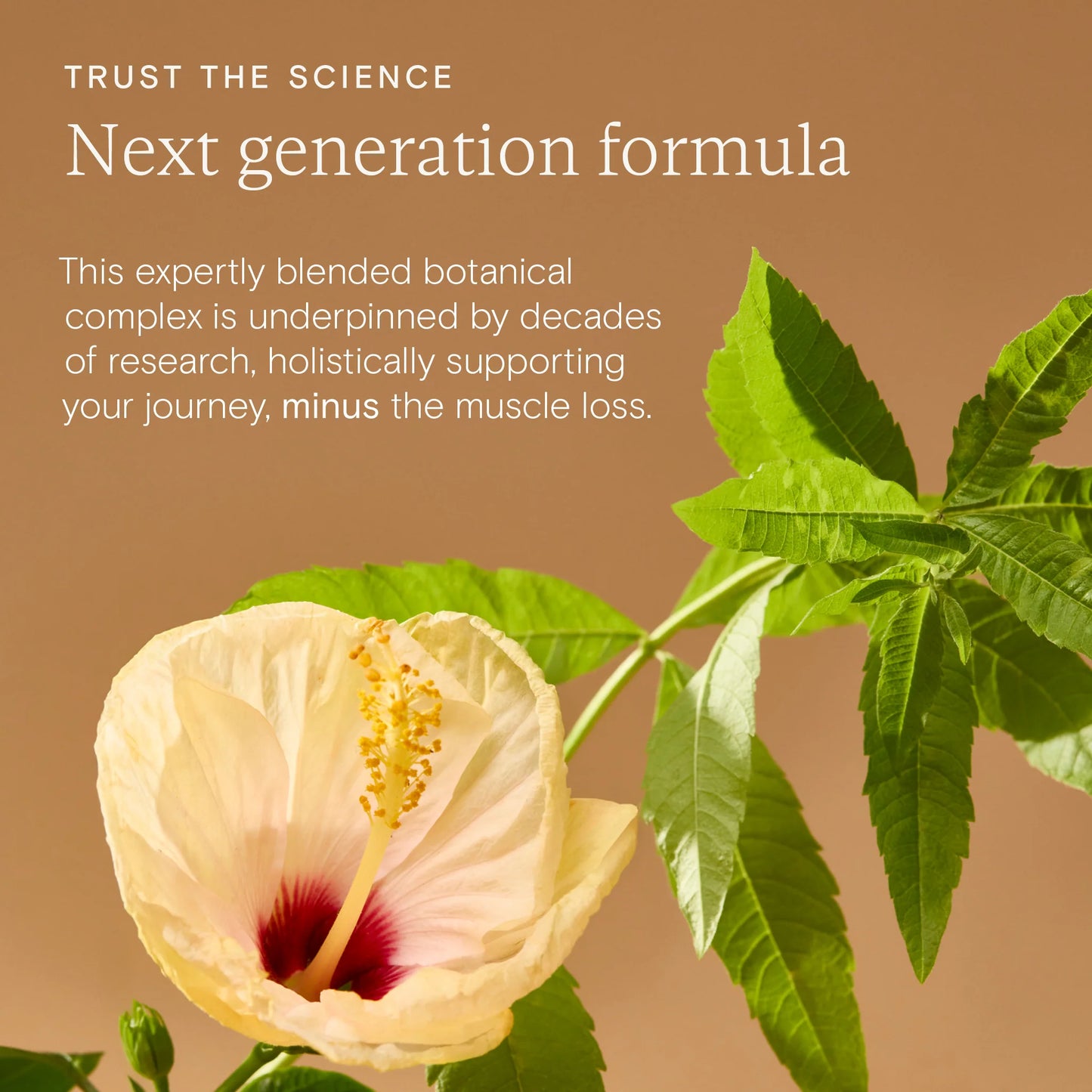 Weight Management Support 51324B