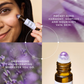 Castor Rest with Lavender  52181B