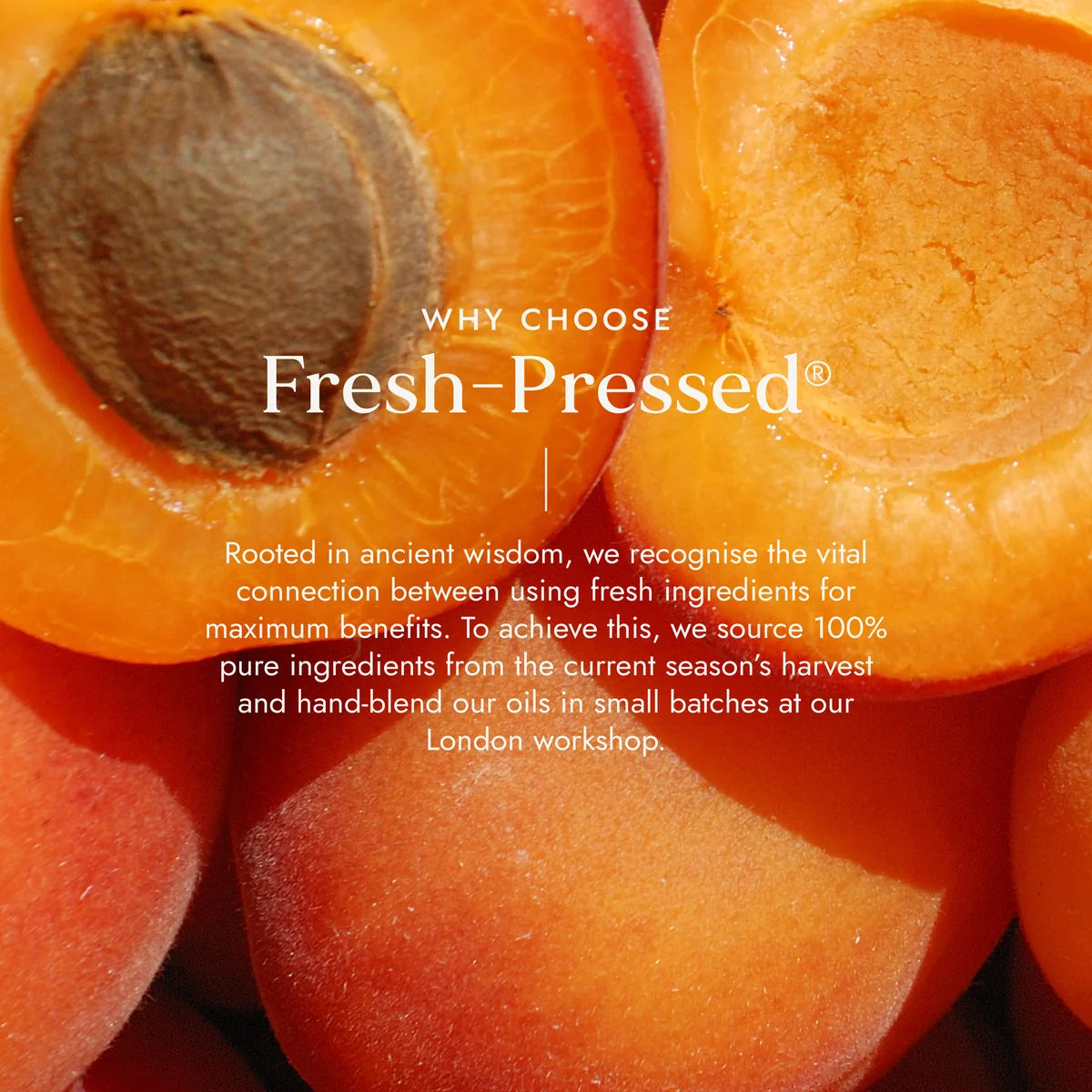 Apricot Lip Oil (Org) 52437A
