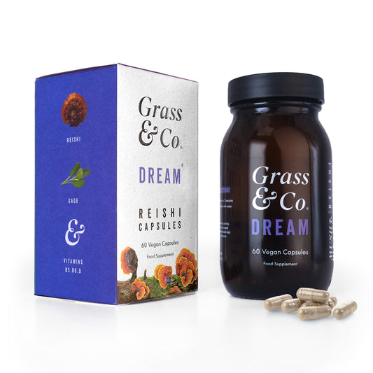 Dream (Reishi) 49503B