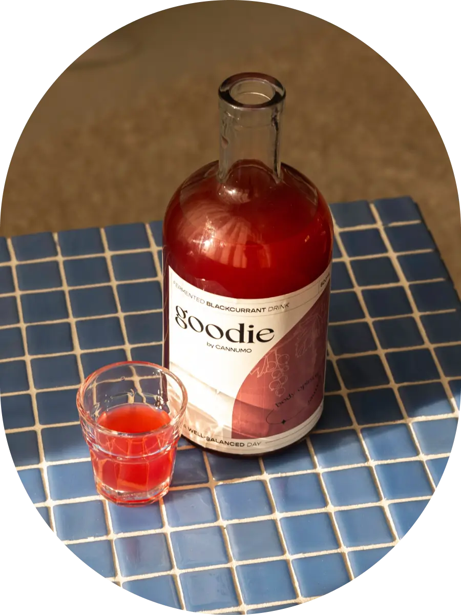 Fermented Blackcurrant Drink 51031B