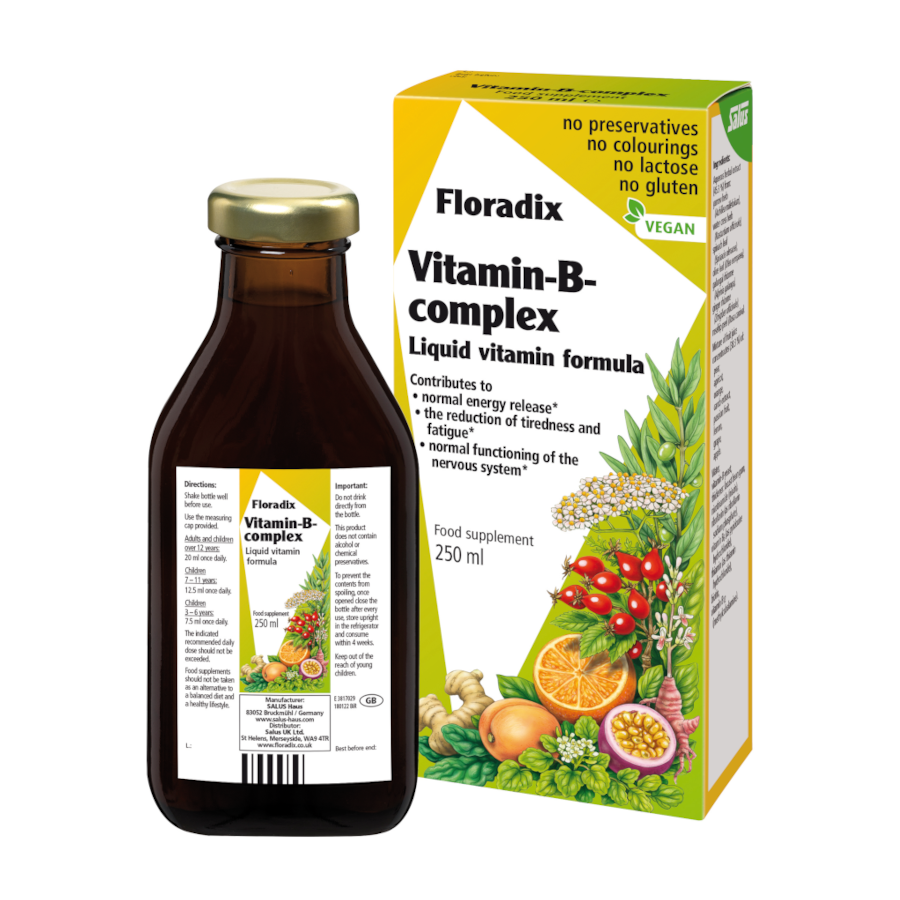Floradix Vitamin B Complex 41826B