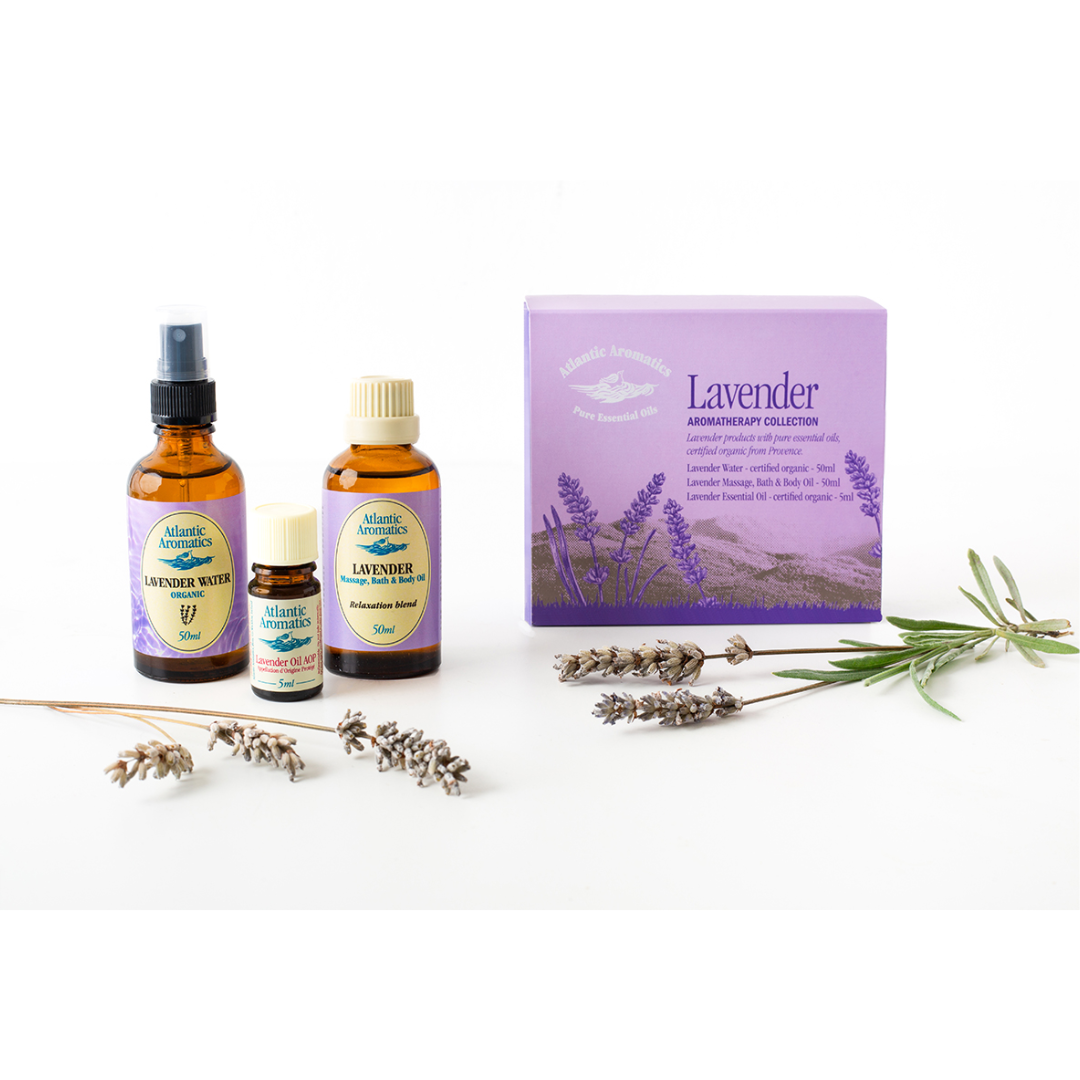 Lavender 3pce Gift Collection 50977B