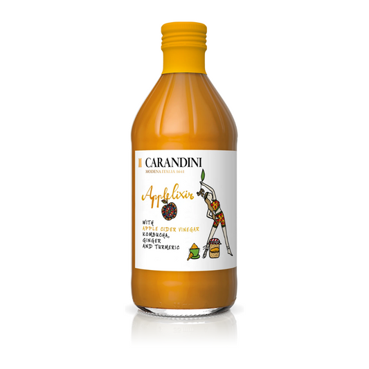ACV + Kombucha Ginger & Turmeric 51023B
