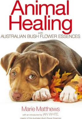 Animal Healing with ABFE 40328B